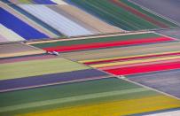 <span><b>8th most popular.</b><br>An aerial view of flower fields is seen near the Keukenhof park, also known as the Garden of Europe, in Lisse, The Netherlands, April 15, 2015. (REUTERS/Yves Herman)</span>