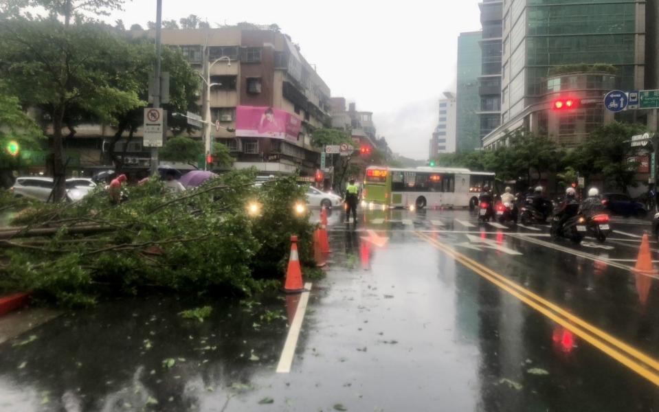 10米高路樹倒塌橫躺車道上影響交通。（圖／翻攝畫面）