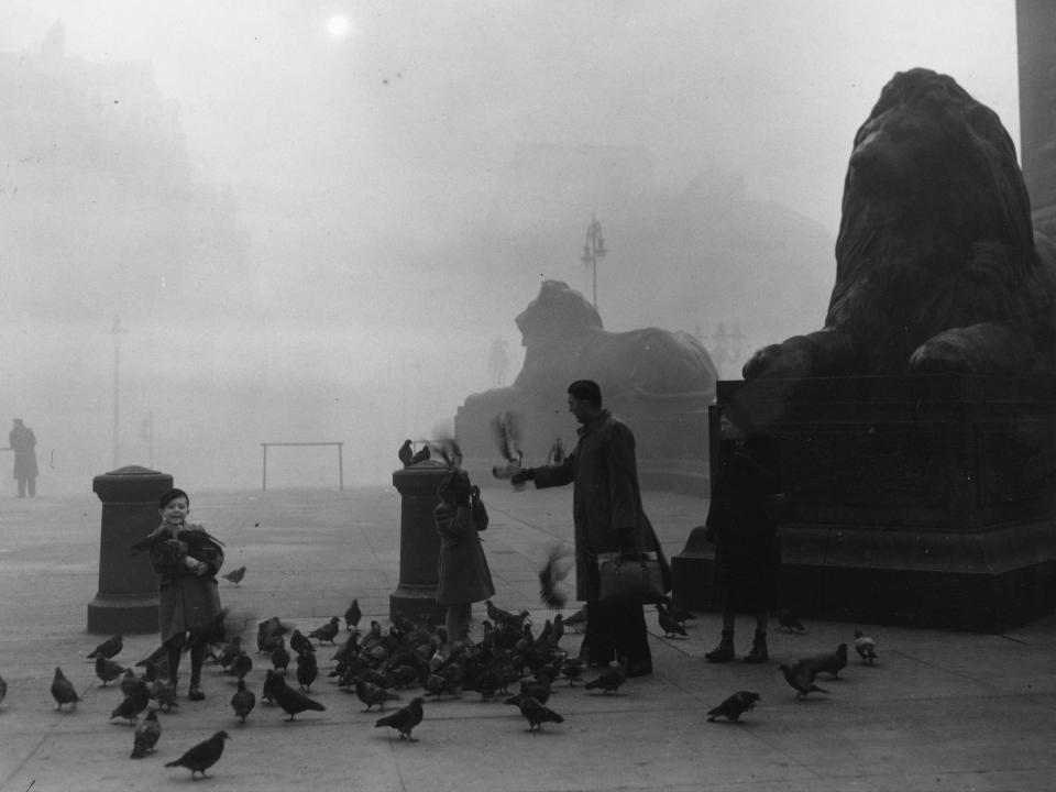 A family feeding the famous pigeons on a foggy morning in London's Trafalgar Square, in front of two of Landseer's lions.