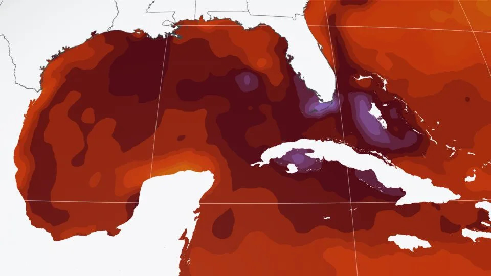 Sea surface temperatures around parts of Florida and the Bahamas are warmer than 90 degrees Fahrenheit, shown here in shades of purple. - CNN Weather