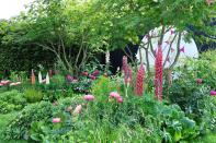 <p>In the midst of the Coronavirus pandemic, the Chelsea Flower Show was cancelled in 2020 for the first time since the Second World War. In its place, the RHS website became host to the Virtual Chelsea Flower Show, sharing free, inspiring content online from the gardening world. The aim was to 'share the joy of gardening' with the nation through collaborations with growers, designers, landscapers and trade stands. With the pandemic ongoing, a second virtual show took place the following year in May 2021.</p><p><strong>READ MORE: <a href="https://www.housebeautiful.com/uk/garden/a27598243/chelsea-flower-show-2020/" rel="nofollow noopener" target="_blank" data-ylk="slk:Chelsea Flower Show 2020 virtual show;elm:context_link;itc:0;sec:content-canvas" class="link ">Chelsea Flower Show 2020 virtual show</a></strong></p>