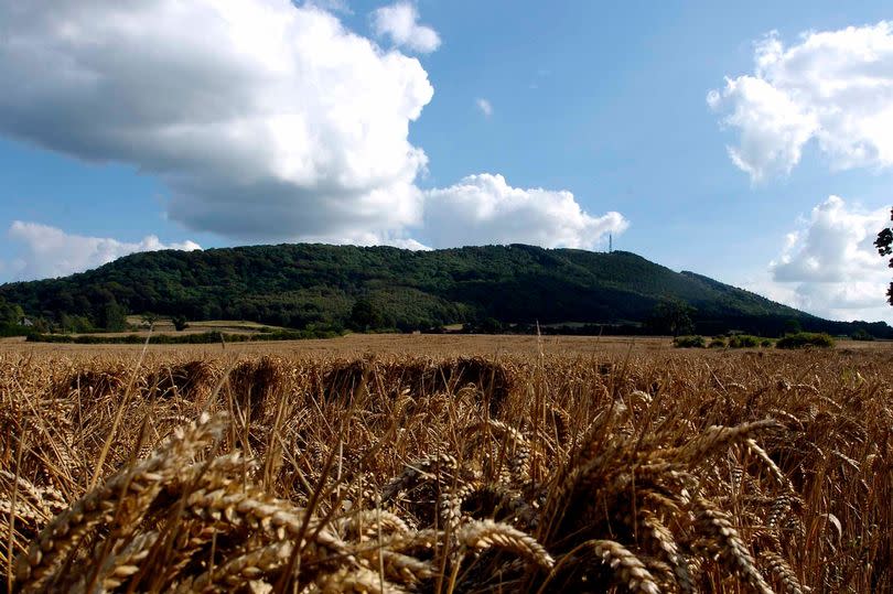 The Wrekin