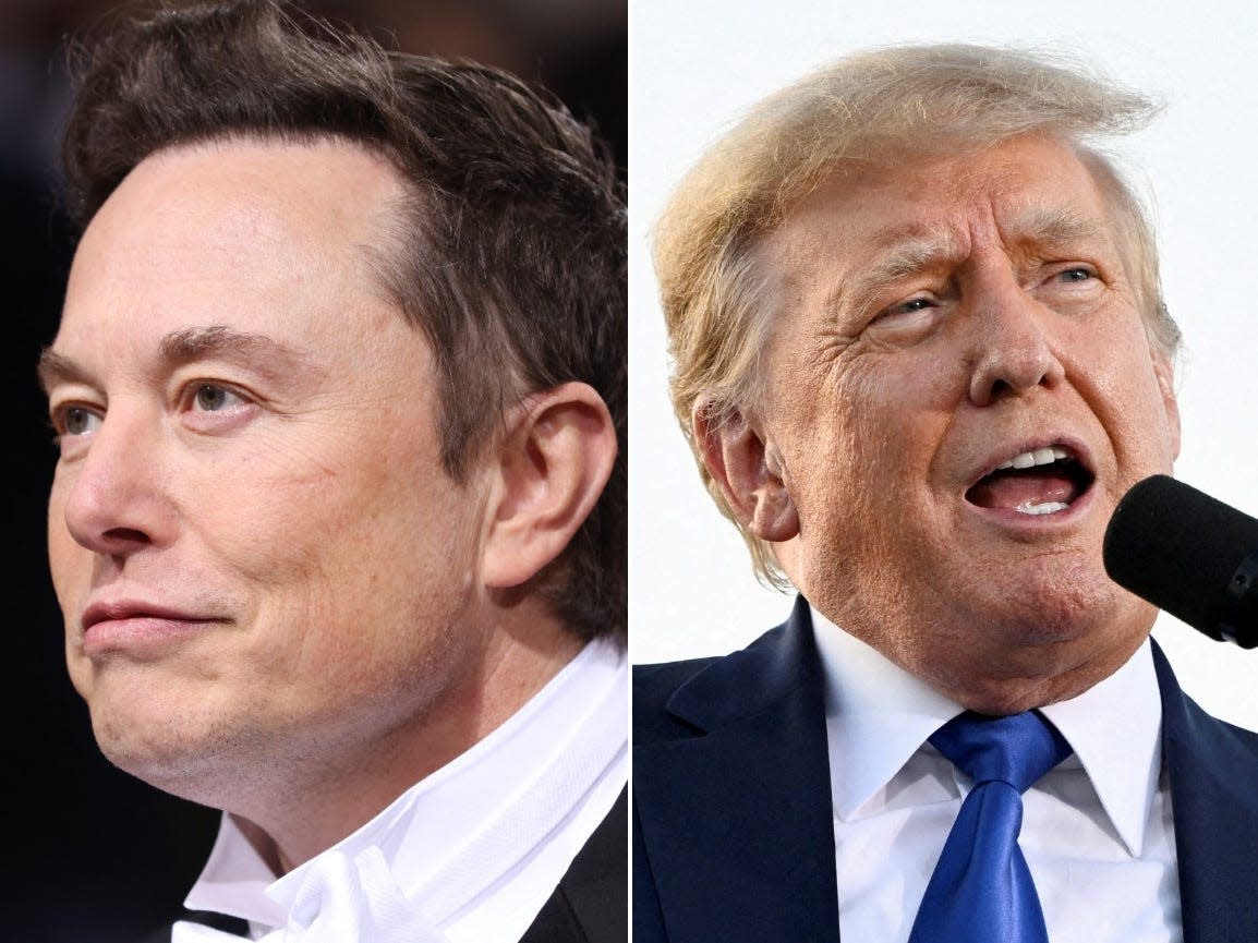 Elon Musk (left) and Donald Trump.