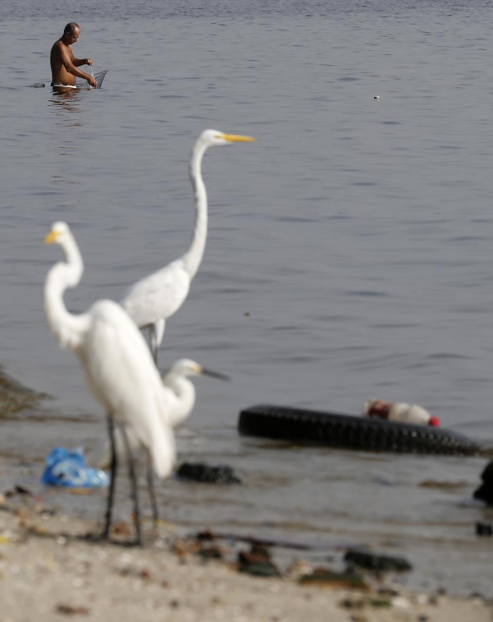 A fisherman works in Fundao beach in the Guanabara Bay in Rio de Janeiro March 13, 2014. According to the local media, the city of Rio de Janeiro continues to face criticism locally and abroad that the bodies of water it plans to use for competition in the 2016 Olympic Games are too polluted to host events. Untreated sewage and trash frequently find their way into the Atlantic waters of Copacabana Beach and Guanabara Bay - both future sites to events such as marathon swimming, sailing and triathlon events. REUTERS/Sergio Moraes (BRAZIL - Tags: ENVIRONMENT SPORT OLYMPICS)