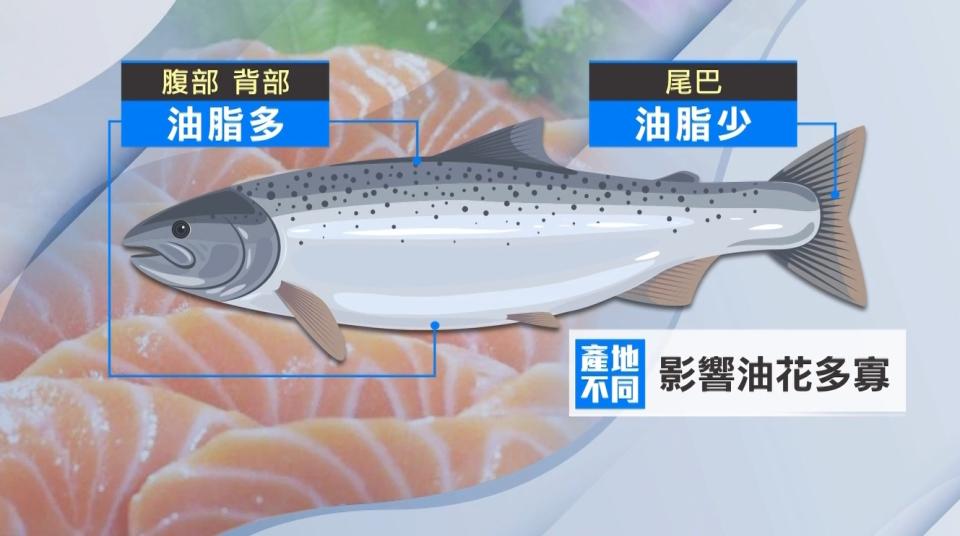 指控業者表示，鮭魚接近下腹地方比較有油脂。（圖／東森新聞）