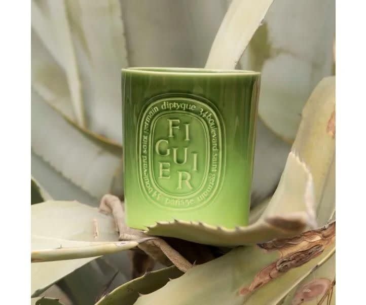 Figuier / Fig Tree interior & exterior candle