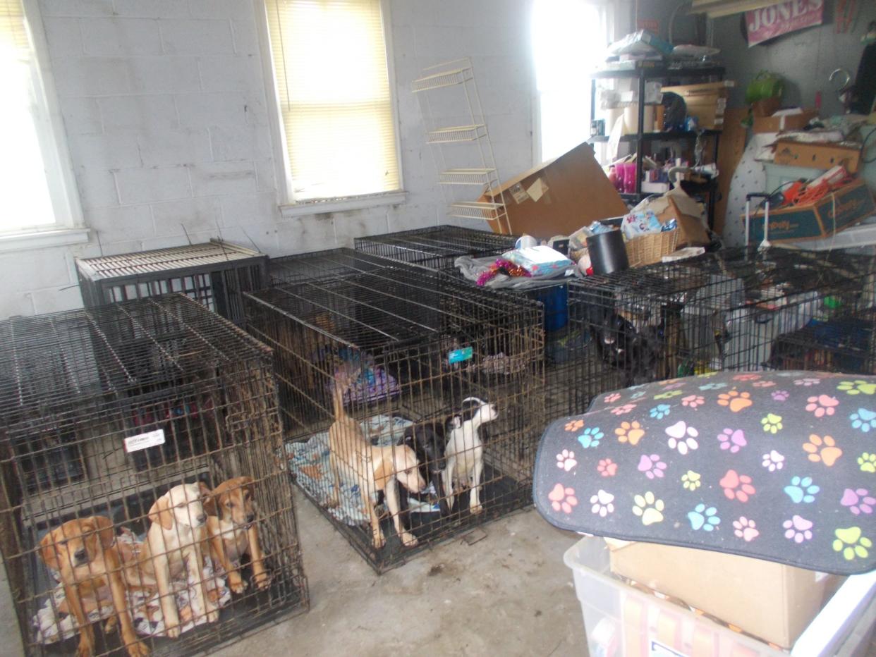 The Butler County Sheriff's Office seized dozens of dogs from an animal rescue in Madison Township.