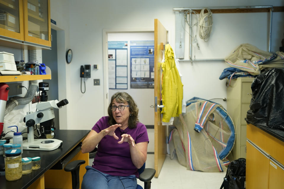 Deborah Steinberg, professor at the Virginia Institute of Marine Science, speaks during an interview in Gloucester Point, Va., on May 10, 2023. “All those iconic images we associate with Antarctica of whales, seals and penguins -- it’s a megafauna hotspot, and it’s because of krill,” Steinberg said. (AP Photo/Patrick Semansky)