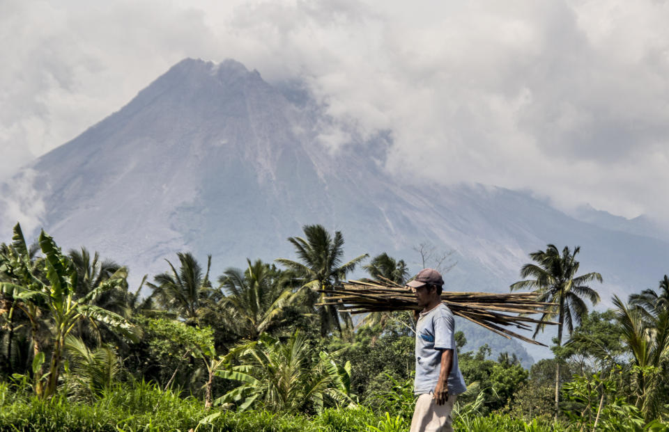 A farmer walks on his field as Mount Merapi is seen in the background in Sleman, Indonesia, Thursday, Nov. 5, 2020. Indonesian authorities raised the danger level for the volatile Mount Merapi volcano on the densely populated island of Java on Thursday and ordered a halt to tourism and mining activities. (AP Photo/Slamet Riyadi)