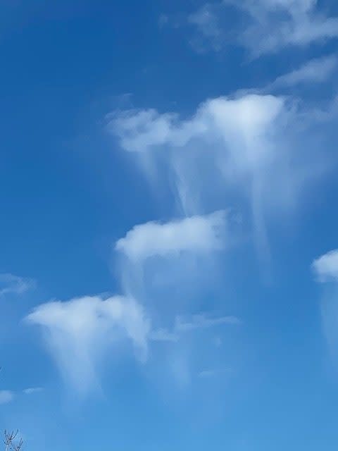 'Jellyfish' clouds caught by KOIN 6 viewer Matt Bowlin on Tuesday, April 2, 2024. (Credit: Matt Bowlin)