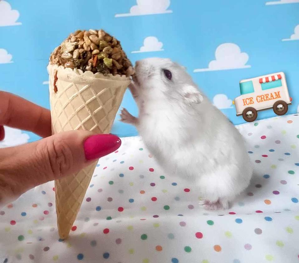 Despite Bob loving salad more than anything else he enjoys some specially made ice-cream (Collect/PA Real Life).