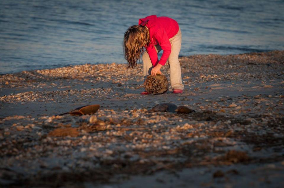 Delaware: Slaughter Beach