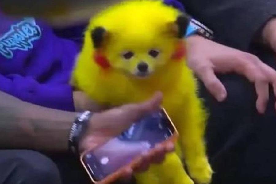 ¡Otra vez! El perro Pikachu reaparece en otro juego de la NBA