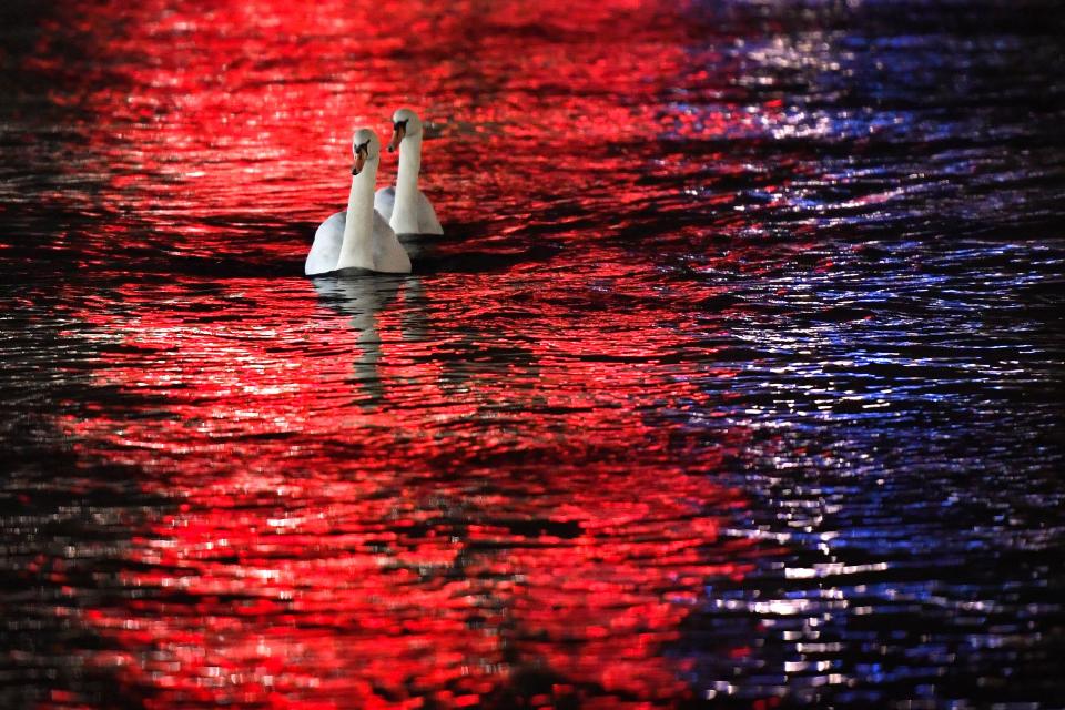 <p>Auf einem beleuchteten Abschnitt des Genfer Sees treiben zwei Schwäne auf dem Wasser durch die Nacht. (Bild: Fabrice Coffrini/AFP/Getty Images) </p>