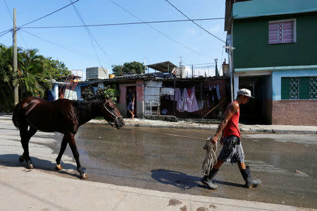 A man walks with his horse in Jaimanitas where Cuba's former President Fidel Castro lived in Havana, Cuba, December 2, 2016. Picture taken December 2, 2016. REUTERS/Stringer