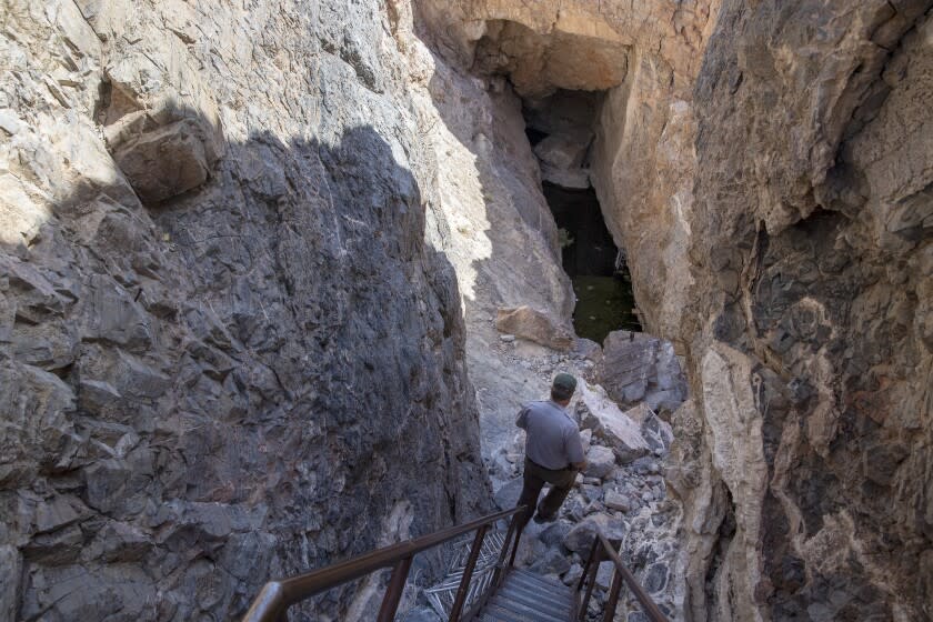 ASH MEADOWS NATIONAL WILDLIFE REFUGE, NYE COUNTY, NEVADA - APRIL 29, 2022: National Park Service aquatic ecologist Kevin Wilson descends a ladder into Devils Hole, home to one of the world's rarest fish, the Devils Hole pupfish Friday, April 29, 2022 in Ash Meadows National Wildlife Refuge, Nevada. (Brian van der Brug / Los Angeles Times)