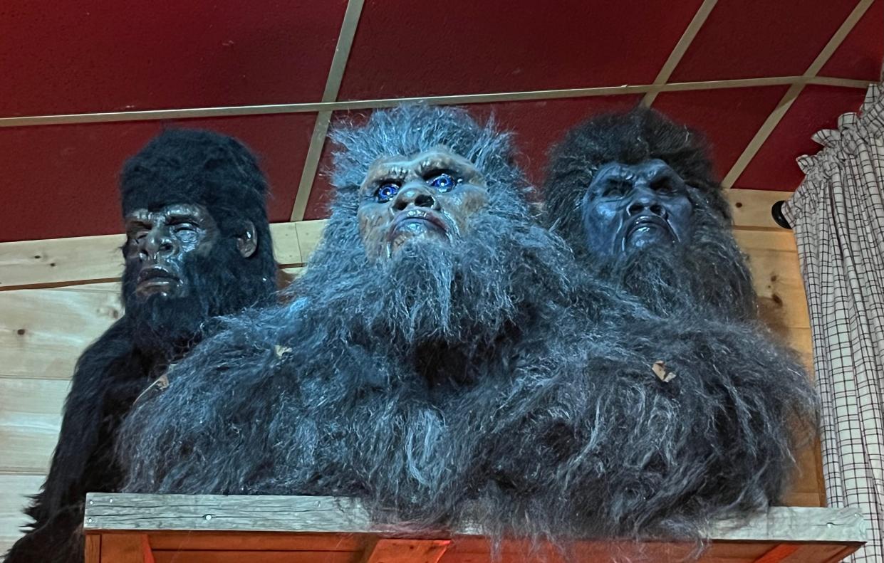 Three busts of Sasquatches are displayed inside "Expedition: Bigfoot" in Blue Ridge, Ga.