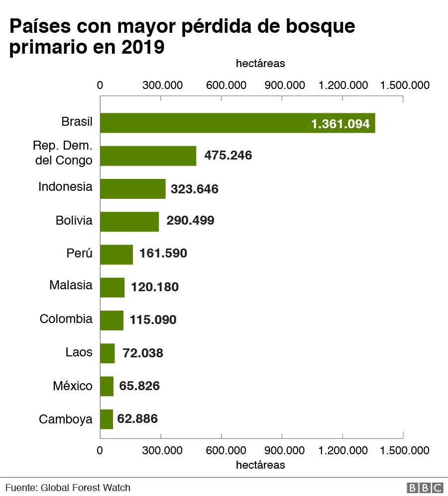 Países con mayor pérdida de bosque primario en 2019