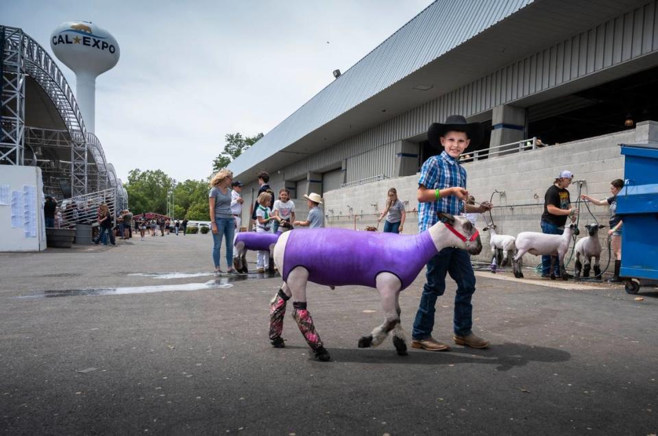 Luke Anderson, 8, of Sheldon 4H takes a friend’s sheep for a walk on Thursday during the opening day of the Sacramento County Fair at Cal Expo.