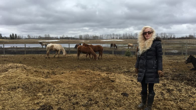 Leduc horse rescue struggling to stay above water - literally