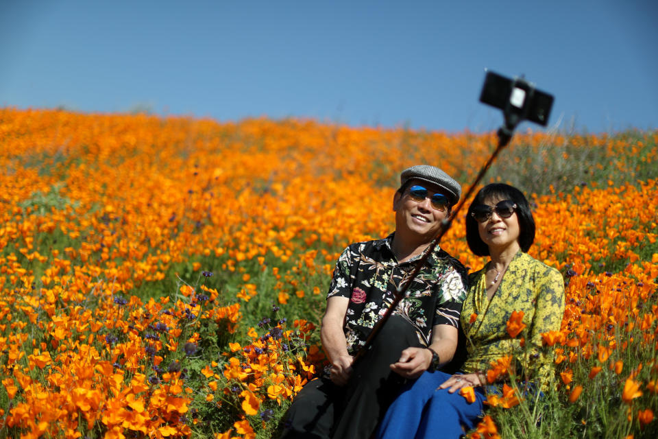 A couple takes a selfie photo in a super bloom of poppies in Lake Elsinore, California, U.S., February 27, 2019.&nbsp;