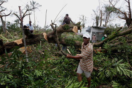 Men clear a fallen tree from the Hurricane Matthew in Les Cayes, Haiti, October 6, 2016. REUTERS/Andres Martinez Casares