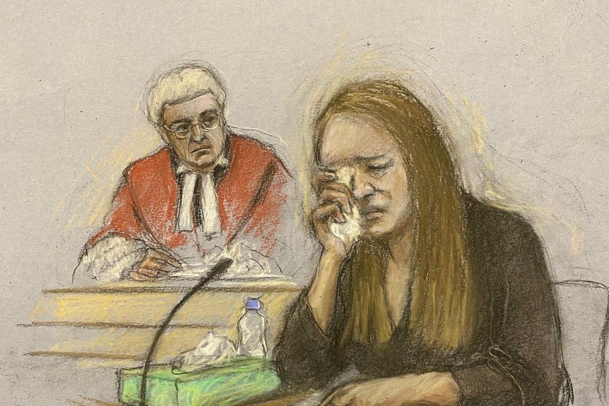 The court heard prosecutors have been unable to say why Lucy Letby murdered seven babies (Elizabeth Cook/PA) (PA Wire)