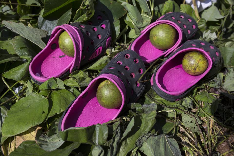 FILE - In this Oct. 25, 2018 file photo, oranges sit in the flip flops of members of a U.S.-bound caravan of Central American migrants as their owners take a dip in a river in Pijijiapan, Mexico. Inspired by their progress and outpouring of support from townspeople along the way, several smaller caravans of migrants have formed in Central America in recent weeks in an attempt to improve their odds of making it to the U.S. (AP Photo/Rodrigo Abd, File)