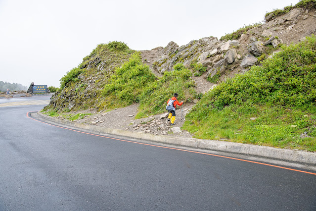 合歡南峰步道，從昆陽停車場對面開始，合歡南峰是條冷門登山步道，登山口很難看出是登山口，但走上去就可以開始行程。