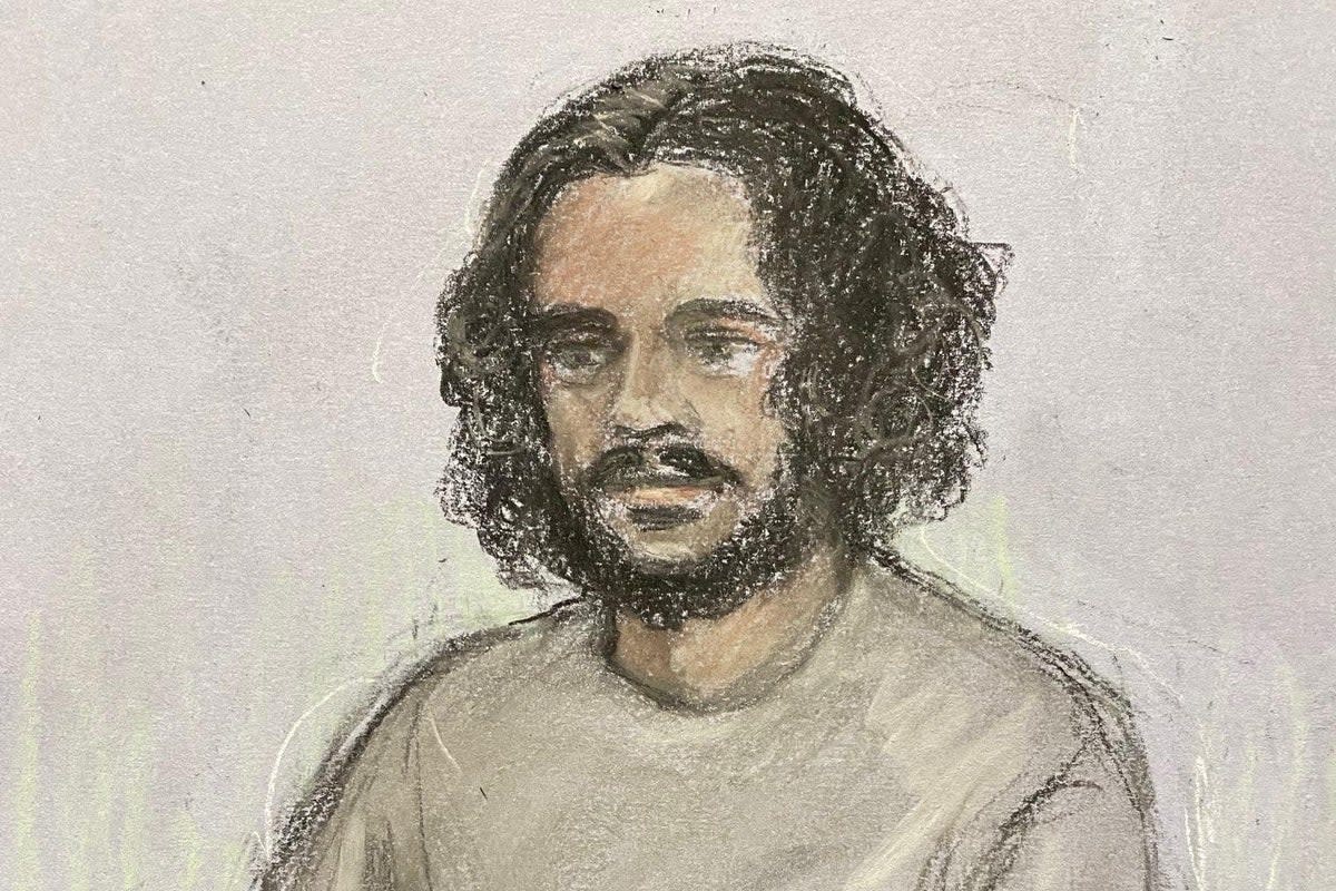 A 21-year-old terrorist has admitted plotting a gun attack in London’s Hyde Park (PA Media)