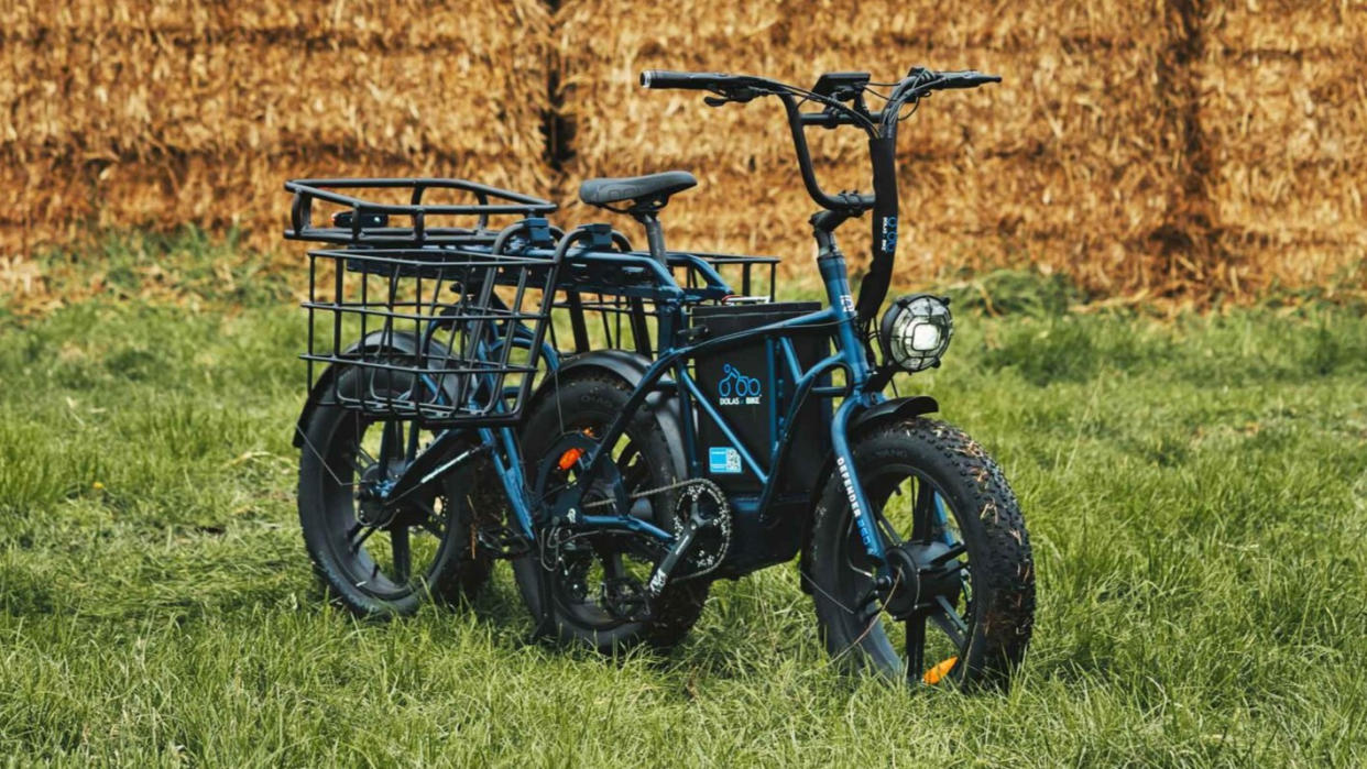  Dolas Defender 250 e-bike parked on grass. 