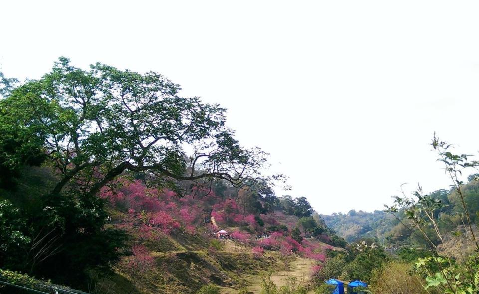 大坑山區是當地知名景點，深受許多遊客喜愛。（示意圖，翻攝維基百科）