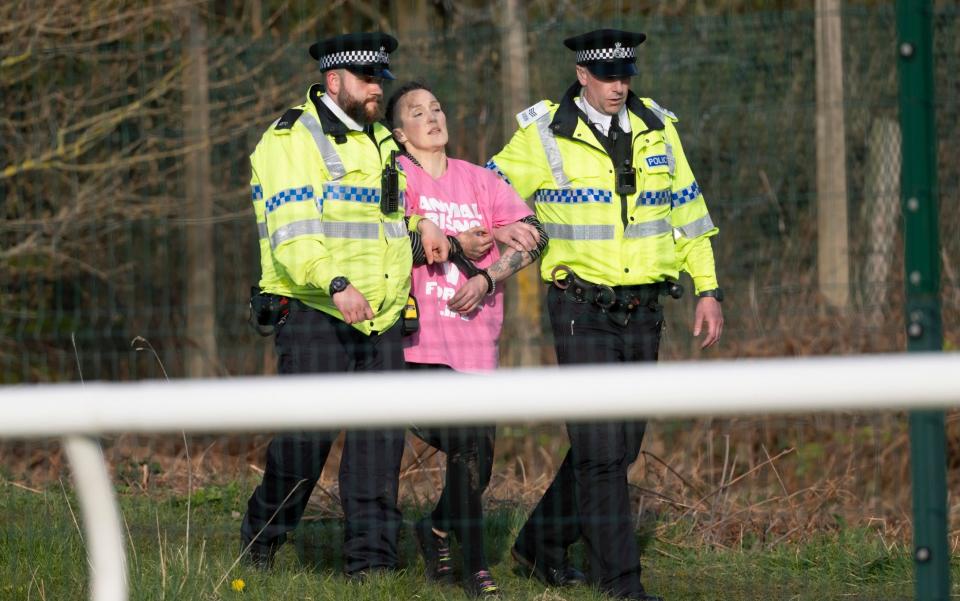 An Animal Rising protester is led away by police during protests at the Grand National - Epsom Derby promises biggest ever security operation to halt planned Animal Rising protests - The Telegraph/David Rose