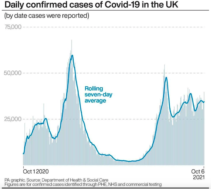 Daily confirmed cases of COVID in the UK over the past year. (PA)