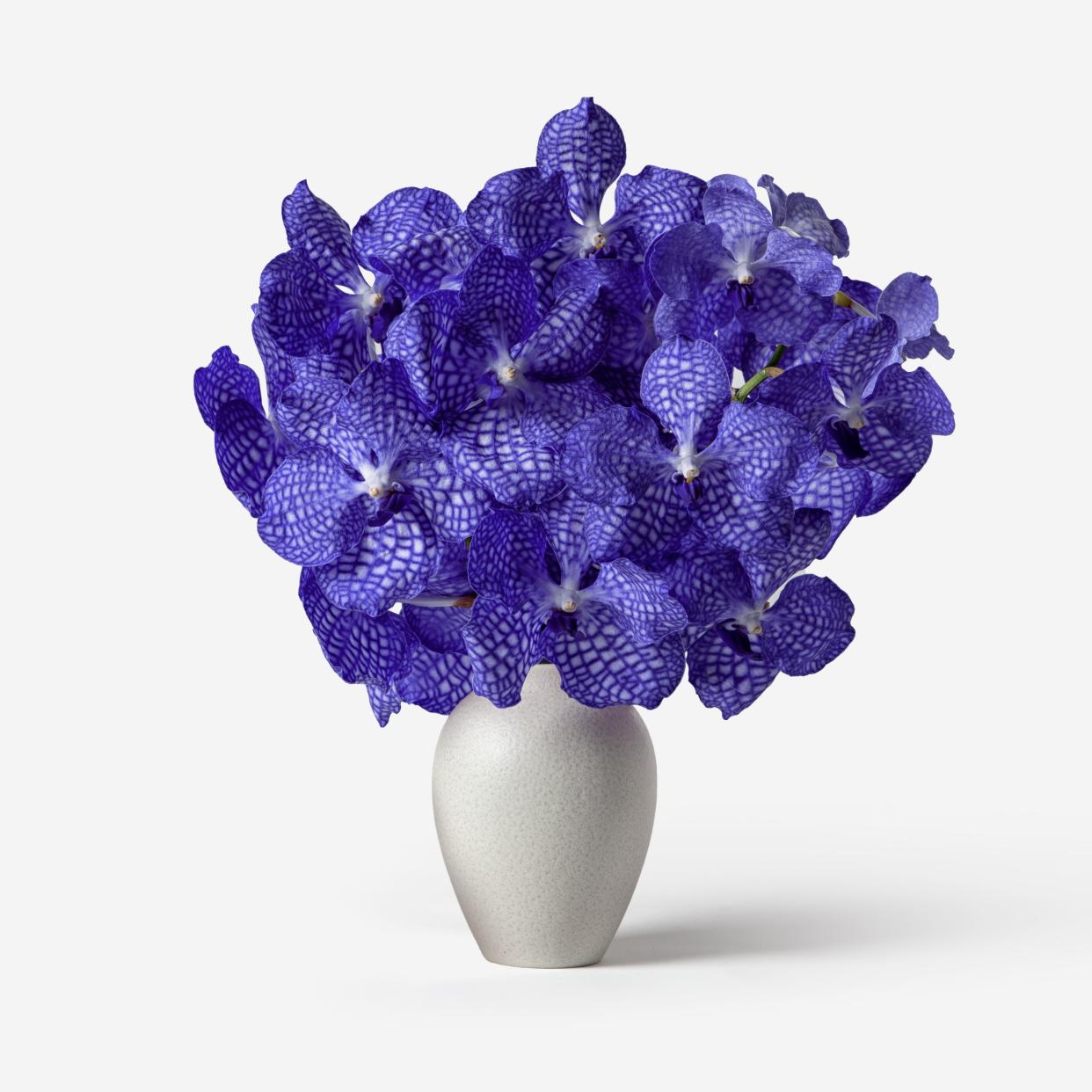 <p><a href="https://go.redirectingat.com?id=74968X1596630&url=https%3A%2F%2Fwww.flowerbx.com%2Fus%2Fvanda-cut-orchid-and-mayfair-vase-set&sref=https%3A%2F%2Fwww.menshealth.com%2Ftechnology-gear%2Fg35937168%2Fgifts-for-mom-from-son%2F" rel="nofollow noopener" target="_blank" data-ylk="slk:Shop Now;elm:context_link;itc:0;sec:content-canvas" class="link rapid-noclick-resp">Shop Now</a></p><p>Vanda Cut Orchid and Mayfair Vase Set</p><p>$125.00</p><p>flowerbx.com</p>