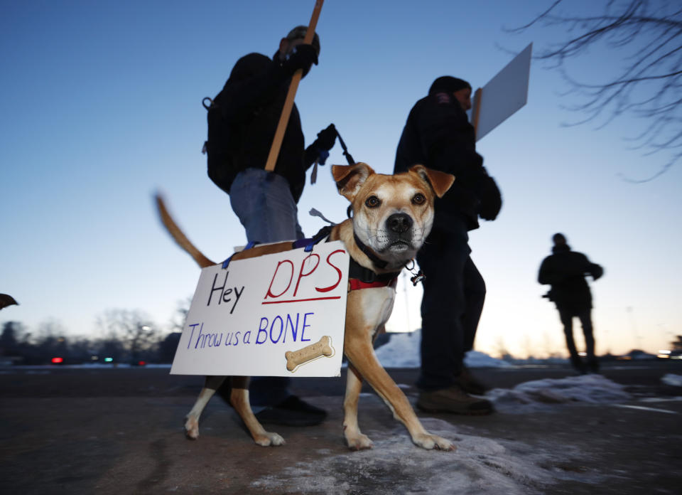 Ollie wears a protest sign as his owner, teacher Ryan Marini, walks a picket line Monday in Denver. (Photo: David Zalubowski/AP)