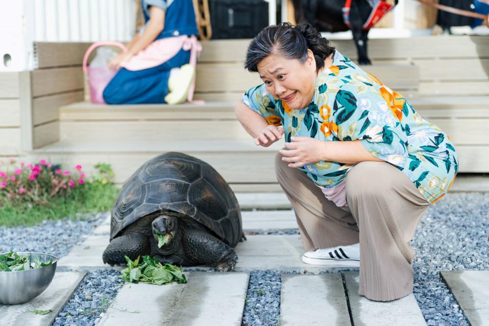 ▲鍾欣凌蹲身見象龜大喊：「真的太誇張！」