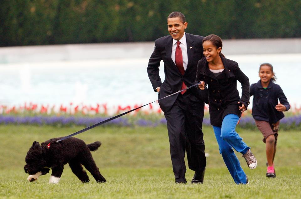 Malia Obama runs with Bo, followed by President Barack Obama and Sasha.