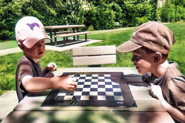 School Boy played brilliant chess game