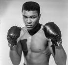 "Schwebe wie ein Schmetterling, stich wie eine Biene", beschrieb Muhammad Ali einst seinen Kampfstil. Ali gilt nicht nur als herausragender Boxer, sondern auch als herausragende Persönlichkeit. Geboren 1942 in Louisville, Kentucky, begann er mit zwölf Jahren zu boxen. Mit nur 18 Jahren holte er in Rom olympisches Gold im Halbschwergewicht. (Bild: 1962 The Stanley Weston Archive / Getty Images)