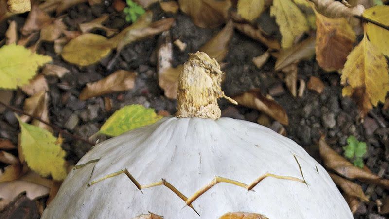 pumpkin carving ideas frankenskull pumpkin