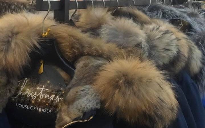 Fur coats in House of Fraser  - Twitter: @domdyer70