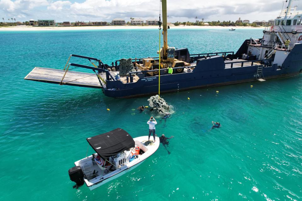 Ocean-Shot deployed a coral reef into the ocean near Antigua and Barbuda, an effort that has already brought in new marine life to the area.  / Credit: Ocean-Shot