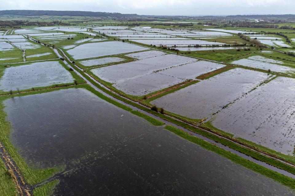 Flooded fields on the Somerset Levels (PA)