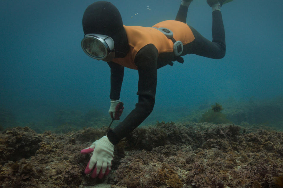 A haenyeo diver. (AppleTV+)