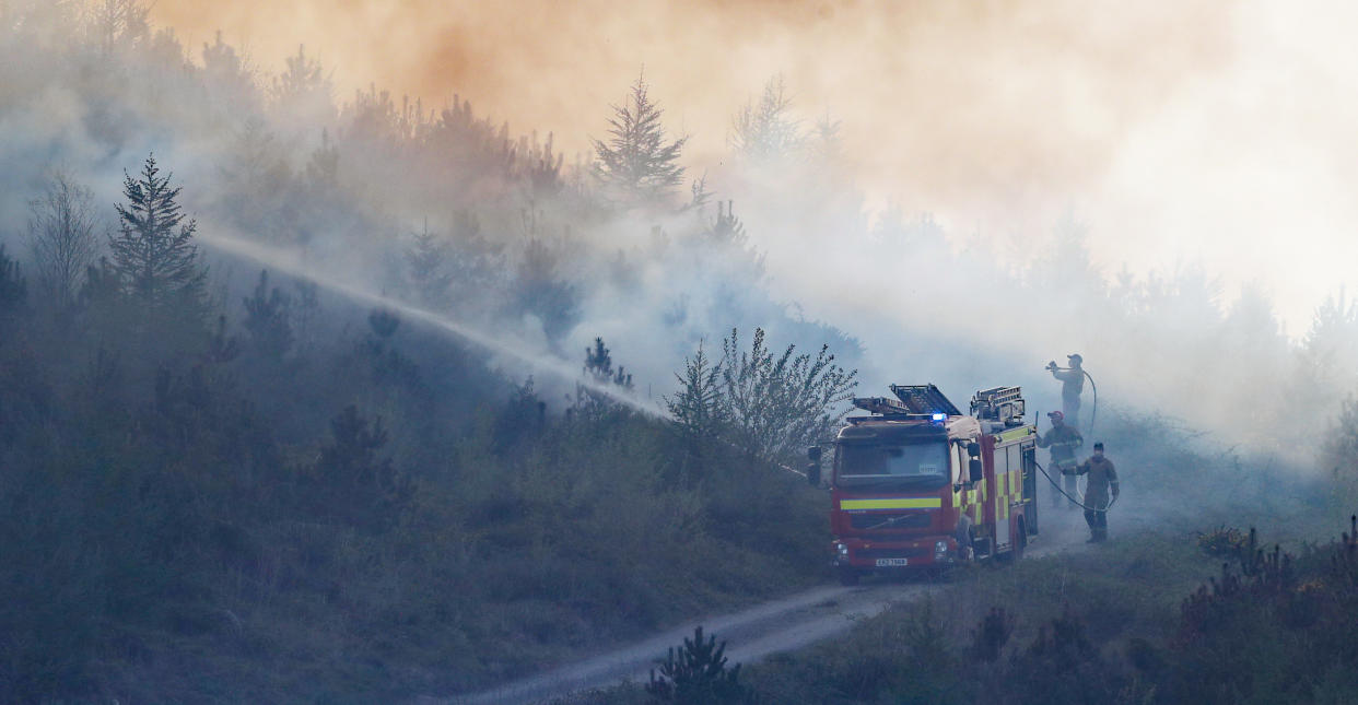 Gorse fire