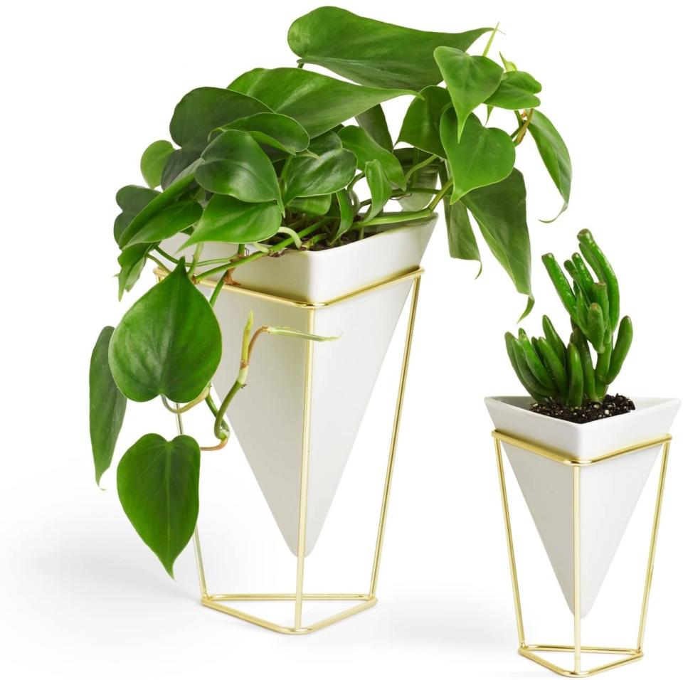 UMBRA Set of 2 Vases