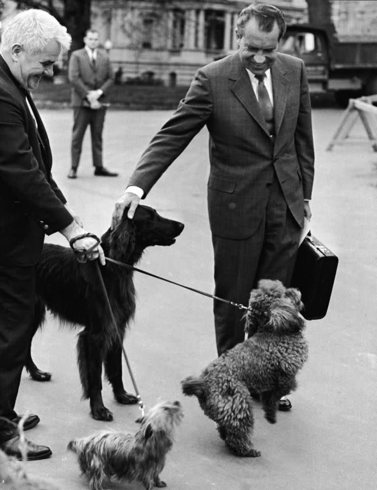 Richard M. Nixon El presidente Richard Nixon tuvo un trío de perros durante su administración: Timahoe (un setter irlandés), Pasha ( un Yorkshire terrier) y Vicky (un caniche). Checkers, quizás su mascota más conocida nunca llegó a vivir en la Casa Blanca; el Cocker Spaniel murió antes de que Nixon fuese elegido.