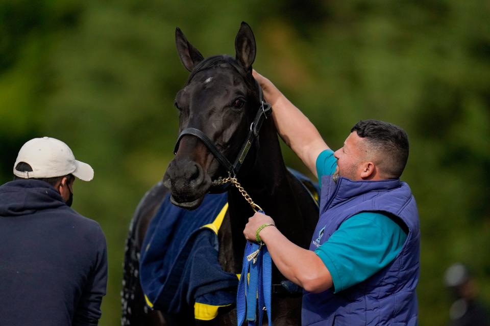 Kentucky Derby winner and Preakness entrant Medina Spirit is bathed after a workout ahead of the Preakness Stakes at Pimlico Race Course in Baltimore on May 12. The horse died Monday in California after a workout.