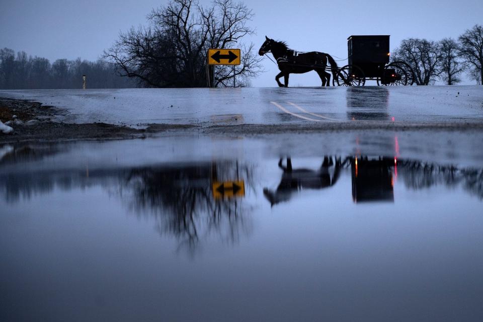 An Amish buggy passes January 24, 2020 in Middlebury, Indiana. -